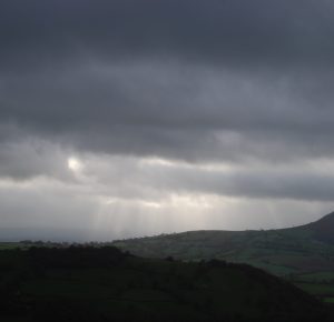 DSC_0021